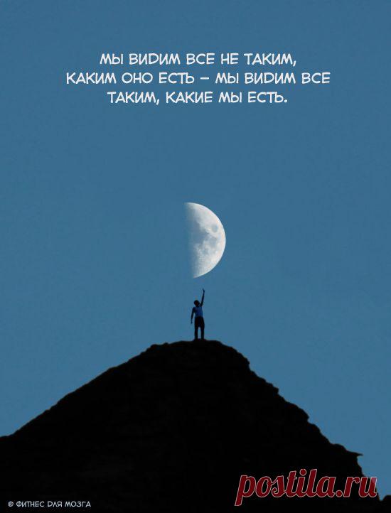 Ваши богатство и счастье – это результат работы Вашего ума. Наполните свой ум новыми позитивными установками, и Вы построите новую позитивную жизнь!