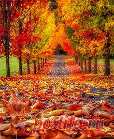 Autumn colors ablaze!