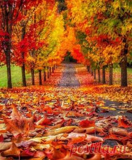 Autumn colors ablaze!