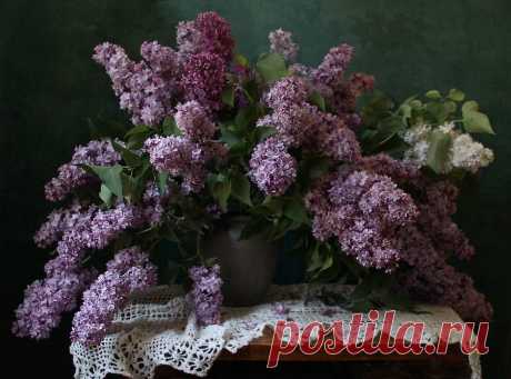 Яндекс.Почта