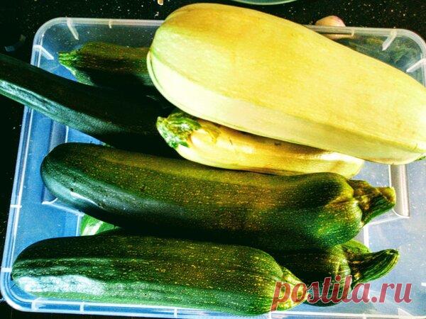 Быстрая и красивая закуска из кабачков с медом и чесноком. Очень вкусно! | Дом с Котом | Яндекс Дзен