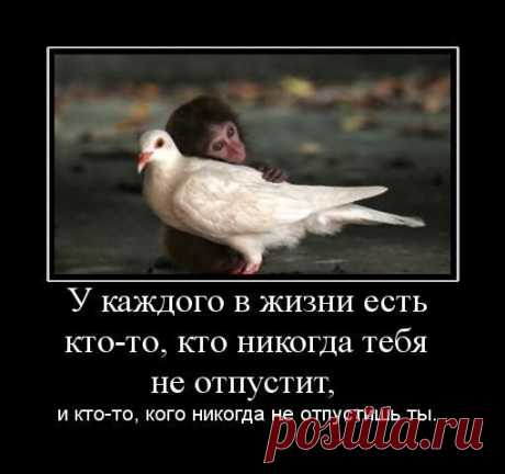 Демотиваторы (107 фото)