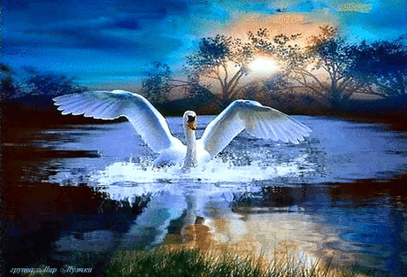 ЛЕБЕДИНАЯ ВЕРНОСТЬ.. ~ Плэйкасты ~ Beesona.Ru