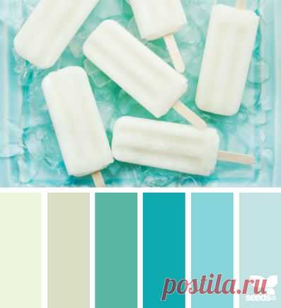 Design Seeds® | for all who ❤ color