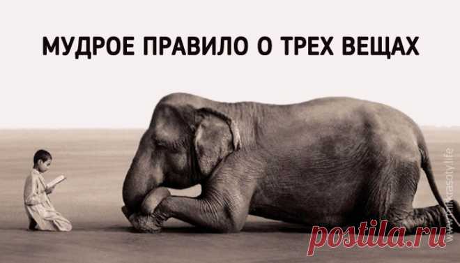 Мудрое правило 3-х вещей - запомните его!
