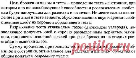 Брожение дрожжевого теста | Pechemdoma.ru