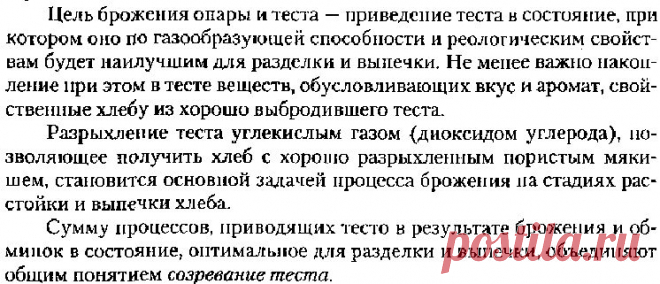 Брожение дрожжевого теста | Pechemdoma.ru