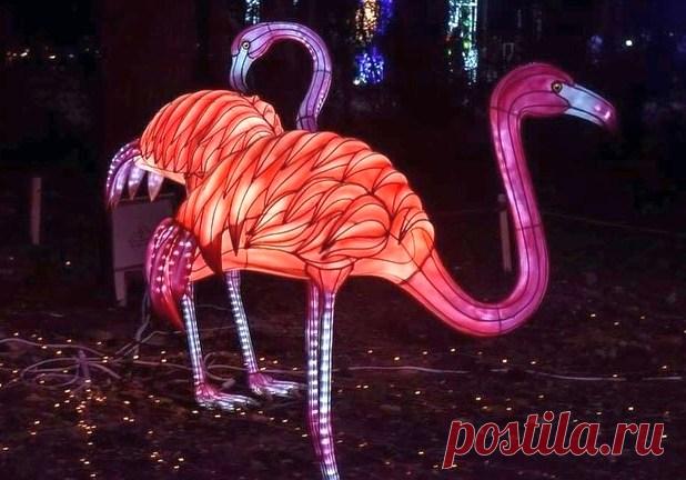 В Харькове пройдет фестиваль китайских фонариков | Вечерний Харьков