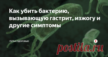 Как убить бактерию, вызывающую гастрит, изжогу и другие симптомы Более 60% населения мира заражены этой бактерией.
В 1982 году ученые обнаружили, что большинство болей в желудке и дискомфорт вызваны микробами и бактериями. Helicobacter pylori способен вызывать такие состояния, как гастрит, язва желудка или любое другое, связанное с пищеварительной системой.
Хотя изначально медицинское сообщество несколько скептически относилось к выживанию этих бактерий в желуд