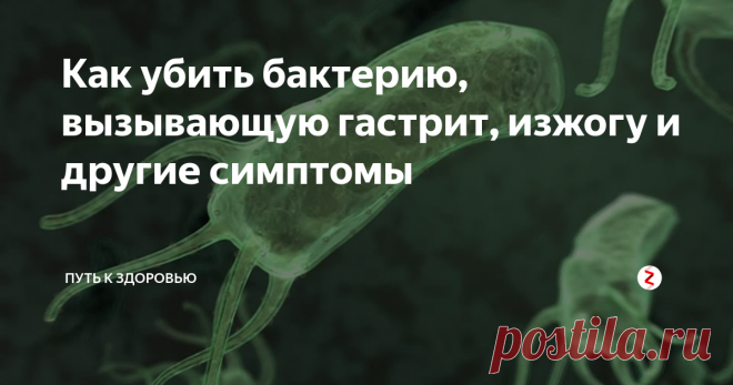 Как убить бактерию, вызывающую гастрит, изжогу и другие симптомы Более 60% населения мира заражены этой бактерией.
В 1982 году ученые обнаружили, что большинство болей в желудке и дискомфорт вызваны микробами и бактериями. Helicobacter pylori способен вызывать такие состояния, как гастрит, язва желудка или любое другое, связанное с пищеварительной системой.
Хотя изначально медицинское сообщество несколько скептически относилось к выживанию этих бактерий в желуд