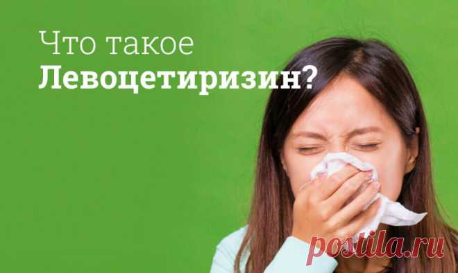 Левоцетиризин инструкция по применению, цена: Состав, побочные эффекты, дозировка, от чего помогает Препарат помогает предупредить развитие аллергической реакции, а если она произошла, то облегчает ее протекание: оказывает противоотечное и противозудное действие, уменьшает высвобождение гистамина