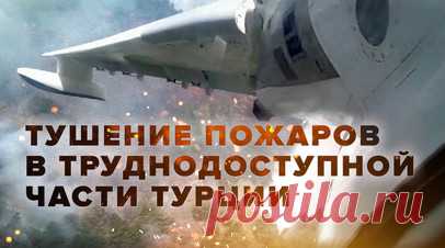 Ликвидация лесных пожаров в Турции российскими самолётами Бе-200ЧС. Авиация МЧС России сбросила почти 1,2 тыс. т воды на очаги природных пожаров на турецкой территории. За прошедшие сутки российские самолёты в районе городов Измир и Балыкесир сбросили 46 т огнетушащей жидкости на очаги возгораний. По словам командира воздушного судна Бе-200ЧС, самолёты-амфибии МЧС ликвидировали пожары в труднодоступной местности, где тушение возможно только с воздуха, при этом забор воды происходил в сложных…