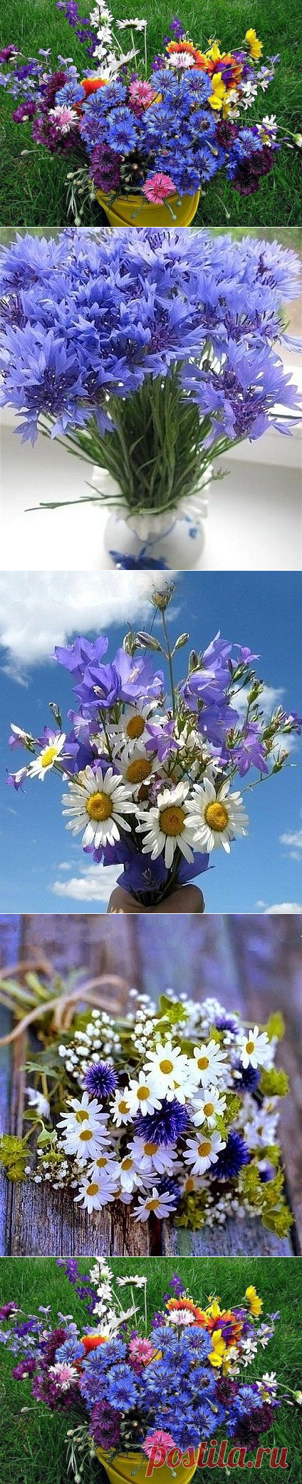 (63) Одноклассники