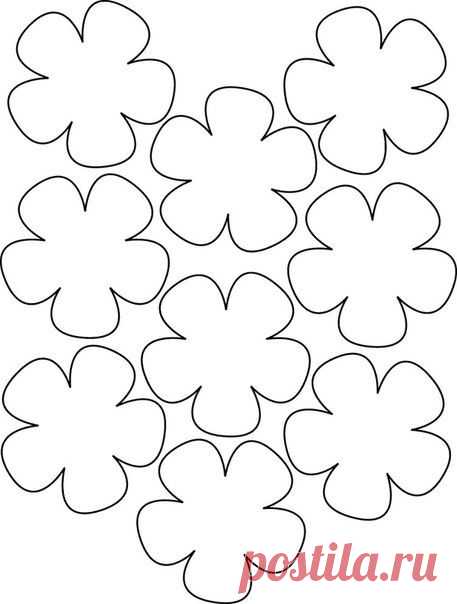 (1232) Pinterest