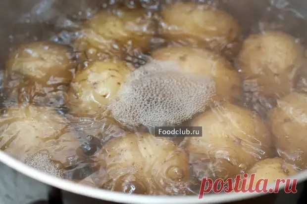 Картофельный салат с красным луком - БУДЕТ ВКУСНО! - медиаплатформа МирТесен