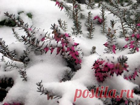 ВСЁ ЛУЧШЕЕ ИЗ YOU TUBE (16 плюс)
ღ ИРИНА ツ