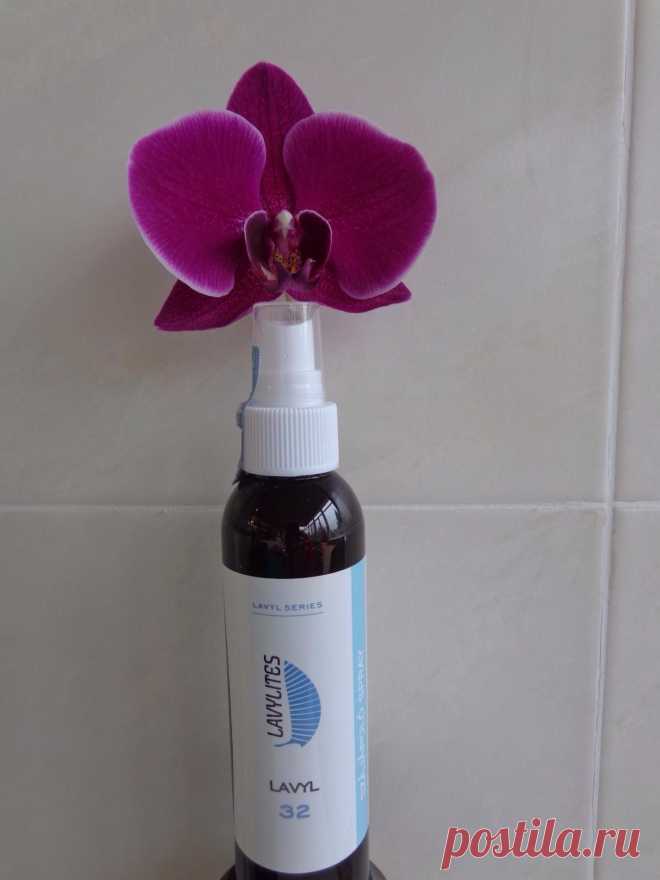 Перед тем, как купить что-то новое, то есть заменить что-то привычное, я определяю для себя, чтобы я хотела получить в результате применения новинки. В случае с зубами это:

эффективное удаление зубного налета
отбеливание
предотвращение зубного камня
восстановление и укрепление десен
Я обратила свое внимание на данный спрей для зубов Lavyl 32 после ознакомления с его областью применения. Учитывая, как я люблю универсальные вещи, решила поэкспериментировать на себе.