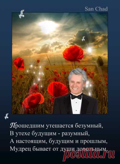 Александр Черных