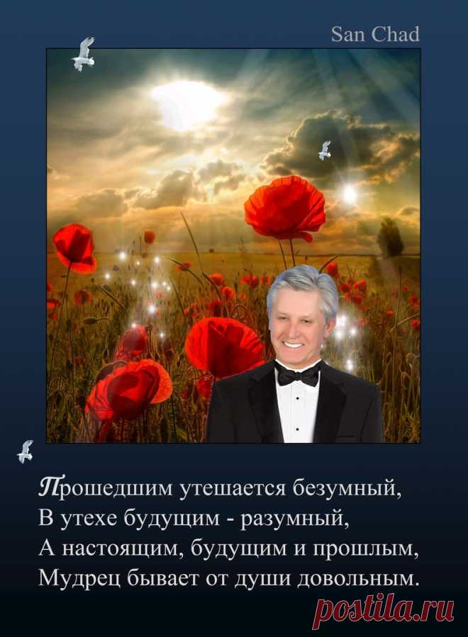 Александр Черных