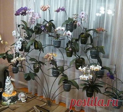 Подставки для цветов
