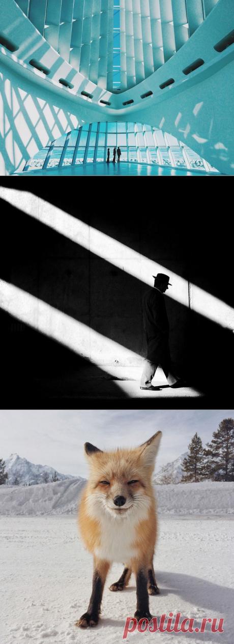 ФотоТелеграф » Победители конкурса iPhone Photography Awards 2014