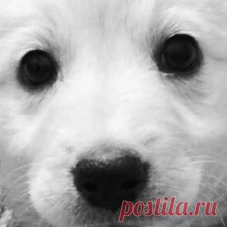 Вечерний рассказ.Посылочка с того света. - Моя семья. Счастлив тот, кто счастлив у себя дома! - медиаплатформа МирТесен