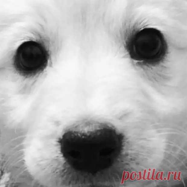 Вечерний рассказ.Посылочка с того света. - Моя семья. Счастлив тот, кто счастлив у себя дома! - медиаплатформа МирТесен