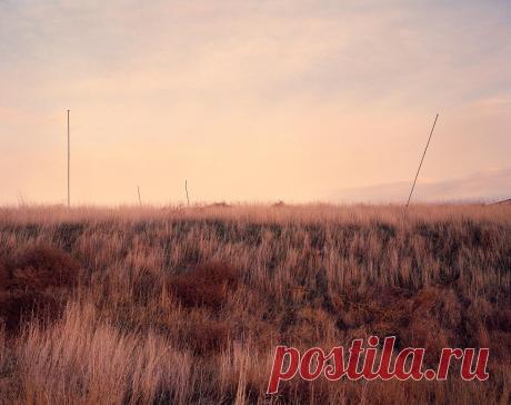 Почему вас всё бесит / Surfingbird знает всё, что ты любишь