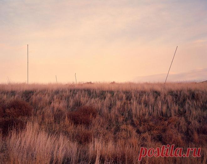 Почему вас всё бесит / Surfingbird знает всё, что ты любишь