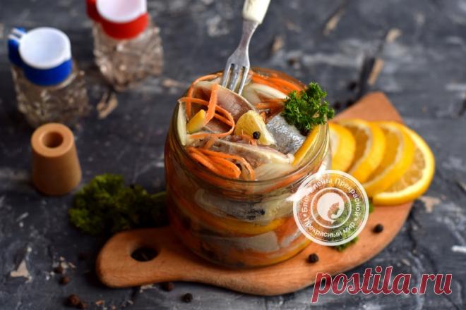 Рецепты с селедкой: на праздничный стол в домашних условиях