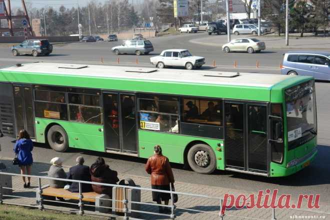 Специалисты проверили чистоту в красноярских автобусах - Новости Общества - Новости Mail.Ru
