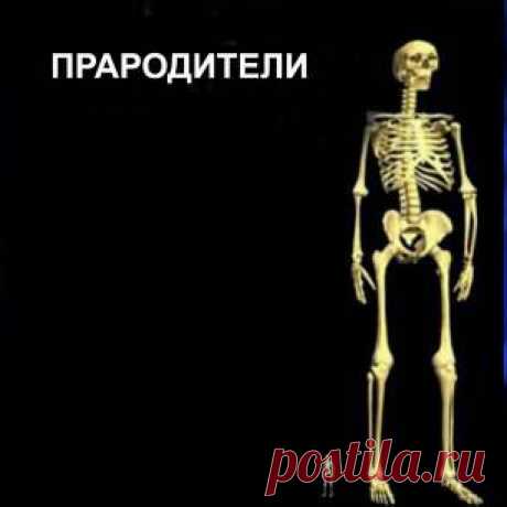 Дэвид Уилкок. Уроки мудрости: Войны Малдека