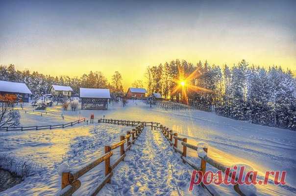 Загородная жизнь во всей красе