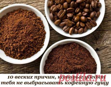 10 веских причин, которые убедят тебя не выбрасывать кофейную гущу. № 7 — полная неожиданность!

1. Удобрение для любимых растений

Кофейная гуща — хорошее удобрение. Гуща насыщает землю полезными веществами. Можно удобрять этим средством не только комнатные растения, но и почву в саду. Дождевые черви также в восторге от кофе, потому они с радостью разрыхлят землю возле твоих насаждений. Безусловная польза для грунта!

2. Поглощение неприятных запахов

Добавить кофейную гу...