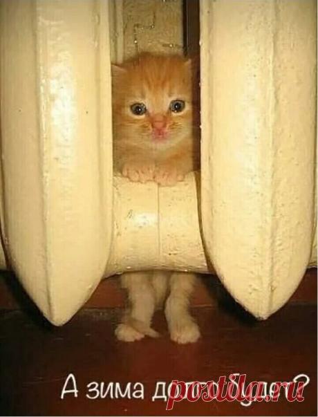 ))