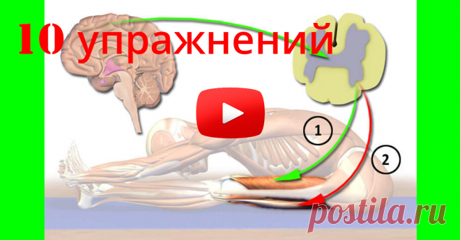 Начни утро правильно - 10 просто волшебных упражнений - Страница 6 из 6