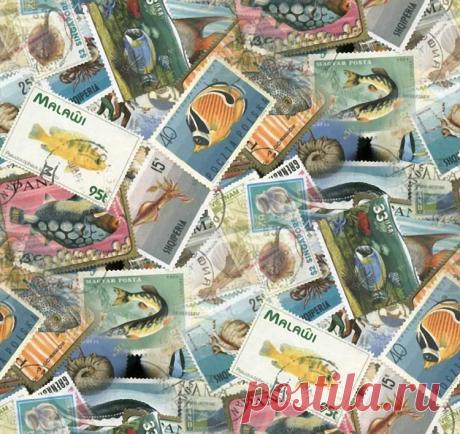 Бордюры и фоны. Морская тема - 2