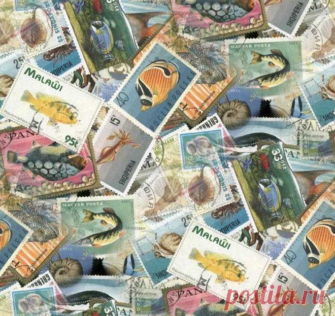 Бордюры и фоны. Морская тема - 2