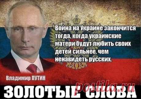 Цитаты в картинках