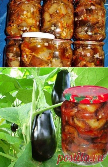 10 рецептов из БАКЛАЖАНОВ на зиму - Простые рецепты Овкусе.ру