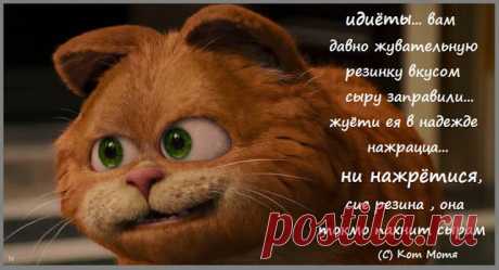 Блог Кота Моти.: Понидельник приполз
..ибучка митаньяхская проквакала что оне сами будут защищацца от персов В СИРИИ то есть блядино ясно намекает что вредить и гадить будет и никаких бля гвоздей...сучары бешанныя , а журнашлюхи все из них ангелочков и продолжают лепить © @katMotja