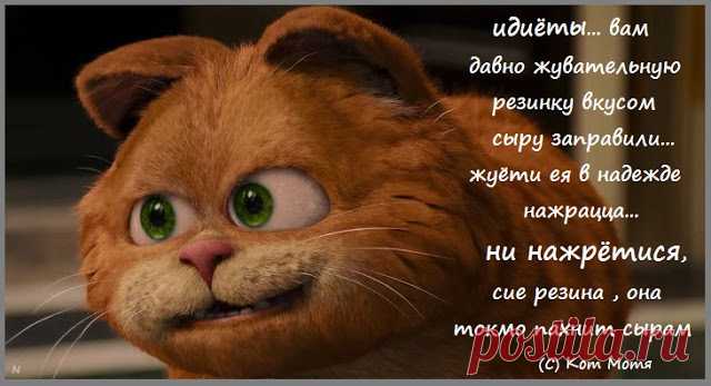 Блог Кота Моти.: Понидельник приполз
..ибучка митаньяхская проквакала что оне сами будут защищацца от персов В СИРИИ то есть блядино ясно намекает что вредить и гадить будет и никаких бля гвоздей...сучары бешанныя , а журнашлюхи все из них ангелочков и продолжают лепить © @katMotja