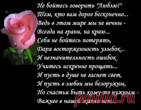 Новые фотографии