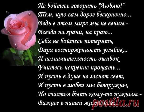 Новые фотографии