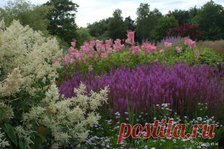 pensthorpe-wave-garden/ Сады Пита Удольфа