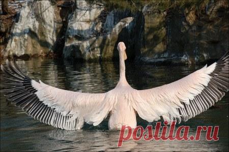 Фотографии $Mavlet$ $ - 821 фото в Моем Мире.