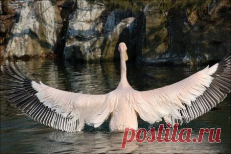 Фотографии $Mavlet$ $ - 821 фото в Моем Мире.