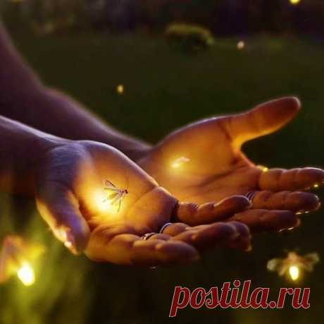 Нет на свете печальней измены, чем измена себе самому.

Николай Заболоцкий.