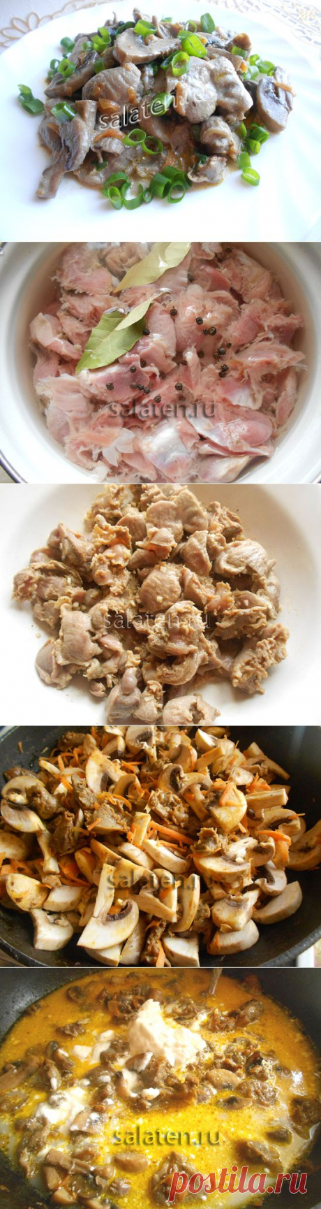 Куриные желудки в сметане. Рецепт с пошаговыми фото  | Блог Маргариты Сизоновой