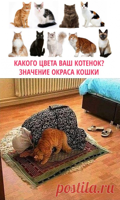 (47) Одноклассники